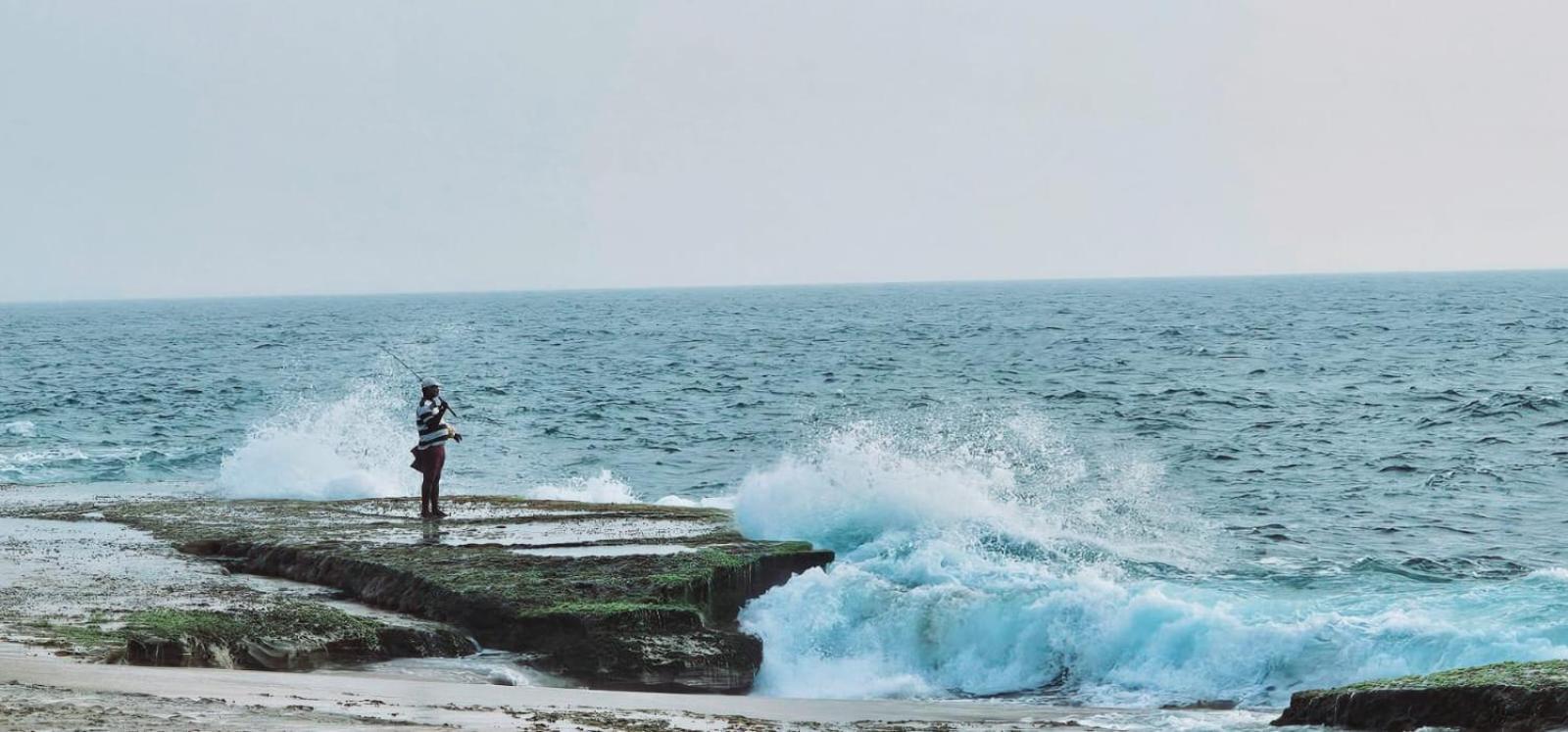 Driftwood Villa Pamunugama Dış mekan fotoğraf